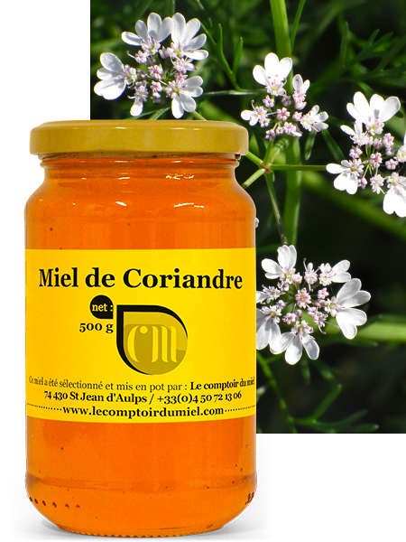 CORIANDRE GRAINES 25 g -Antioxydant riche en beta carotene