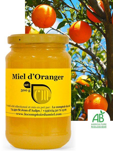 Miel d'Oranger Bio - 500g - la miellerie Famille Perronneau